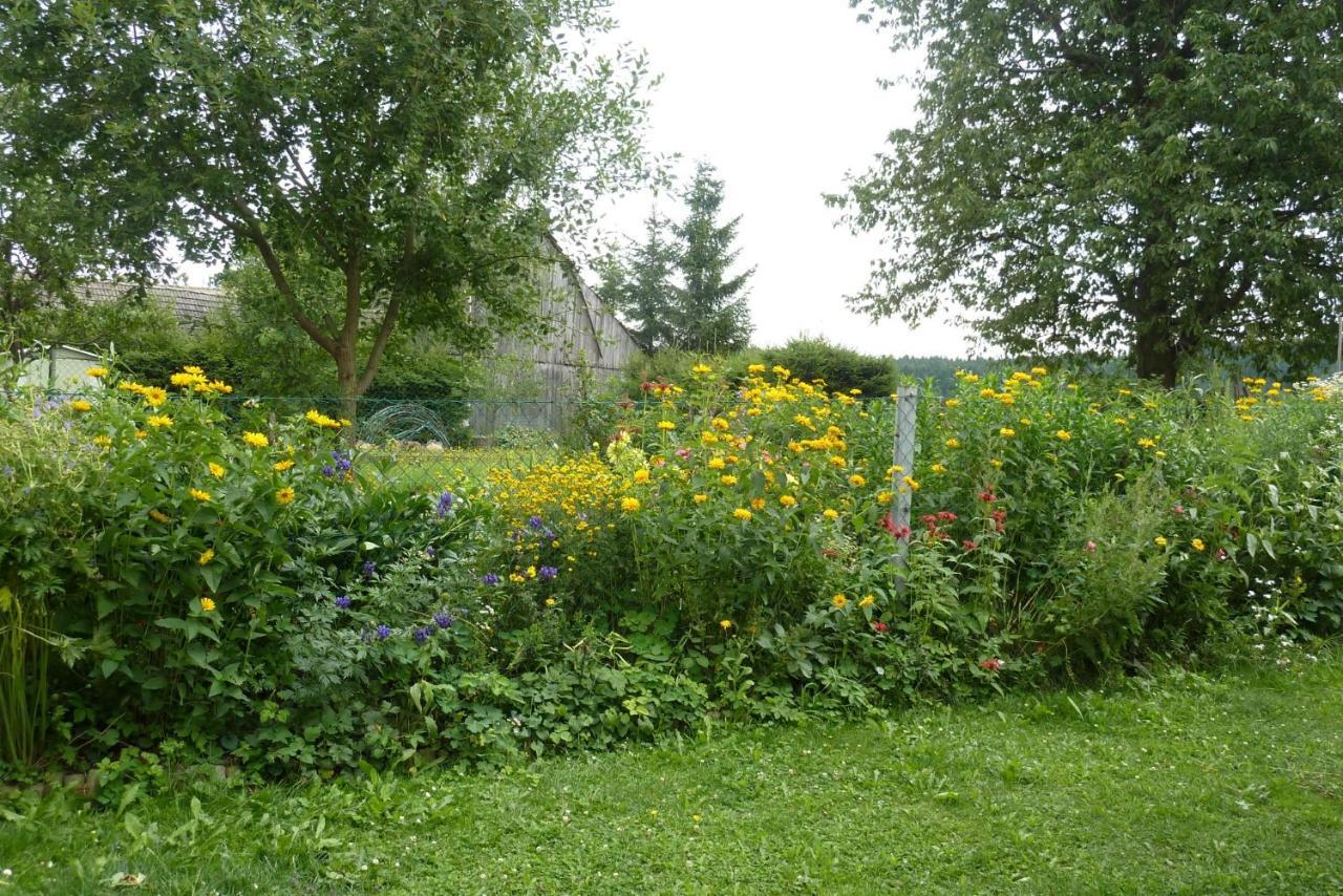 Gertis Blumenhof Privatzimmer, Ferienwohnung Gmund  Zewnętrze zdjęcie
